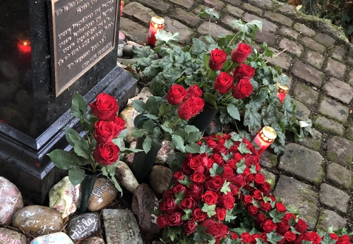 Rosen an der Gedenkstätte