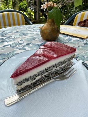 Ein Stück Torte mit Mohn und rotem Himbeerspiegel obenauf auf einem Tisch im Garten